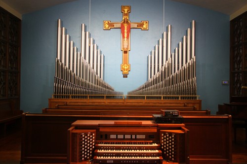 Organ 5